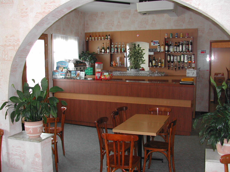 Pension familiale Lourdes - bar