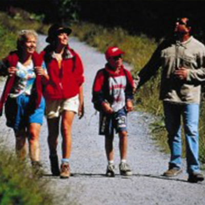 Le bois de Lourdes