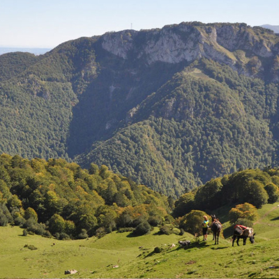 Réserve naturelle du Pibeste